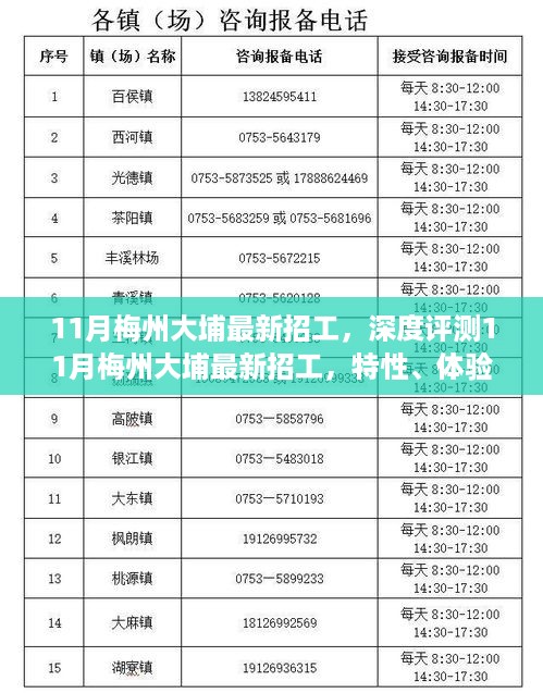 深度测评，11月梅州大埔最新招工信息及特性、体验、竞品对比与目标用户群体分析