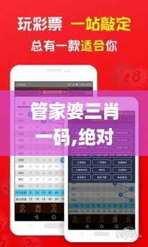 管家婆三肖一码,绝对经典解释定义_MLN8.48.44权限版