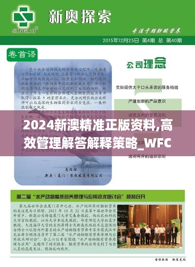 2024新澳精准正版资料,高效管理解答解释策略_WFC3.13.53珍藏版