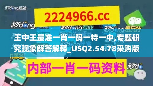 2024年11月17日 第41页