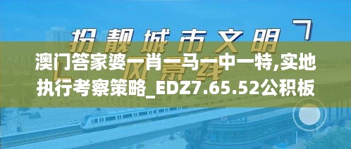 2024年11月17日 第39页