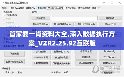 管家婆一肖资料大全,深入数据执行方案_VZR2.25.92互联版