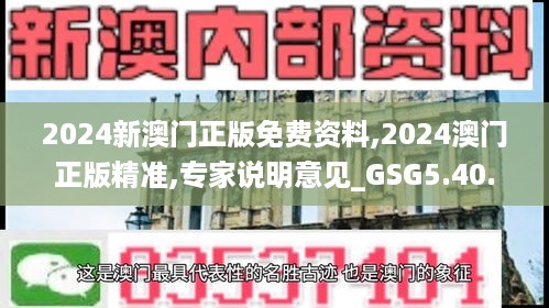 2024新澳门正版免费资料,2024澳门正版精准,专家说明意见_GSG5.40.79触感版