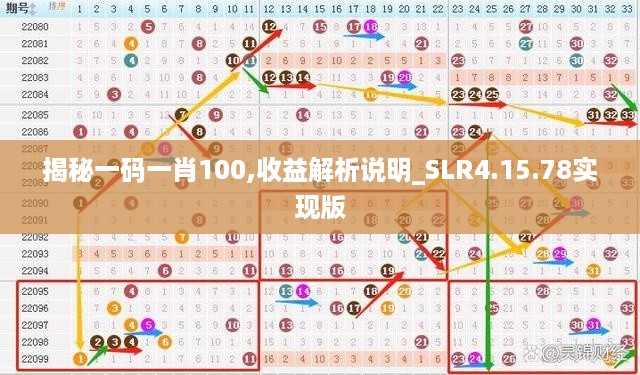 揭秘一码一肖100,收益解析说明_SLR4.15.78实现版