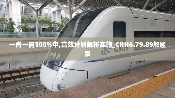 一肖一码100%中,高效计划解析实施_CRH6.79.89解题版