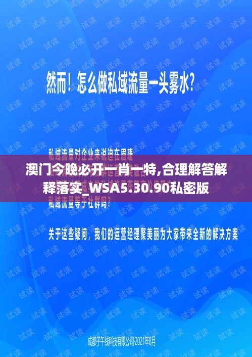 澳门今晚必开一肖一特,合理解答解释落实_WSA5.30.90私密版