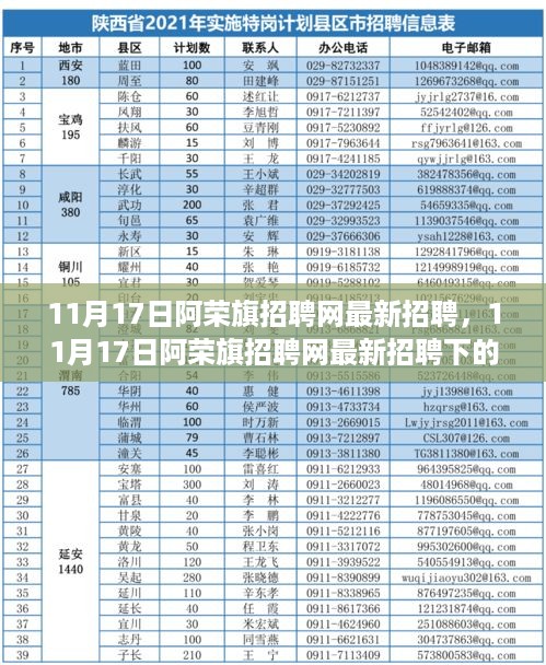 2024年11月17日 第13页