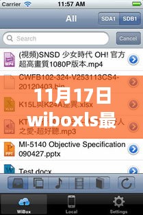 11月17日WiboxLS最新版苹果版使用指南，适合初学者与进阶用户