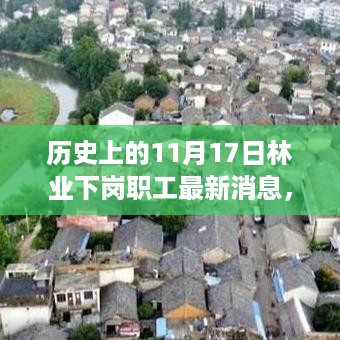 历史上的11月17日，林业下岗职工最新消息与时代变迁下的生活轨迹