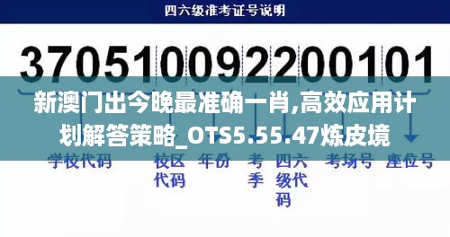 新澳门出今晚最准确一肖,高效应用计划解答策略_OTS5.55.47炼皮境