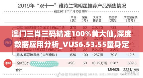 澳门三肖三码精准100%黄大仙,深度数据应用分析_VUS6.53.55量身定制版