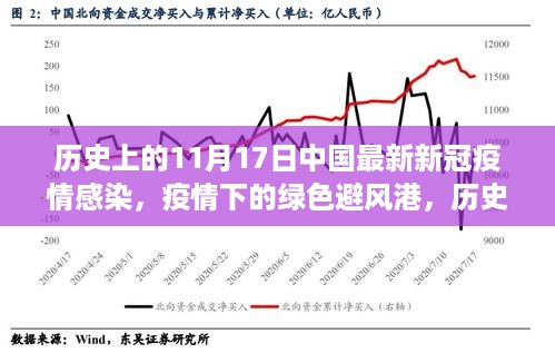 历史上的11月17日，疫情下的绿色避风港与自然的神秘约会时刻