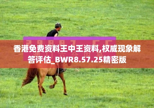 香港免费资料王中王资料,权威现象解答评估_BWR8.57.25精密版