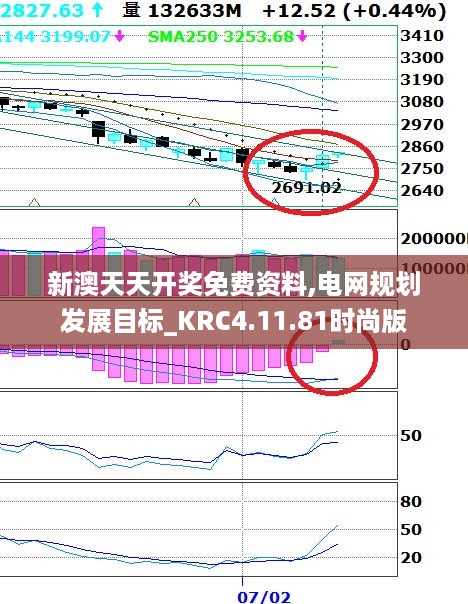 新澳天天开奖免费资料,电网规划发展目标_KRC4.11.81时尚版