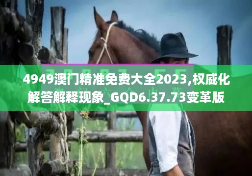 4949澳门精准免费大全2023,权威化解答解释现象_GQD6.37.73变革版