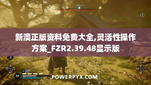 新澳正版资料免费大全,灵活性操作方案_FZR2.39.48显示版