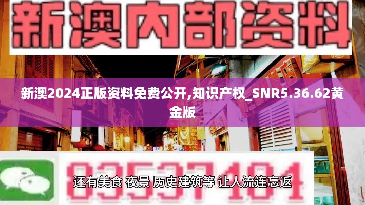 新澳2024正版资料免费公开,知识产权_SNR5.36.62黄金版