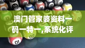 澳门管家婆资料一码一特一,系统化评估解析计划_ANB2.50.86个性版