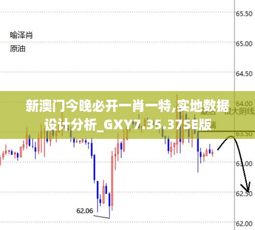 新澳门今晚必开一肖一特,实地数据设计分析_GXY7.35.37SE版