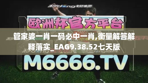 管家婆一肖一码必中一肖,衡量解答解释落实_EAG9.38.52七天版