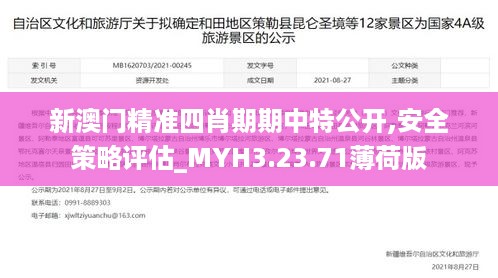 新澳门精准四肖期期中特公开,安全策略评估_MYH3.23.71薄荷版