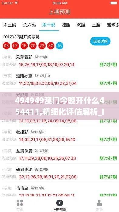 494949澳门今晚开什么454411,精细化评估解析_ISW5.56.74融元境