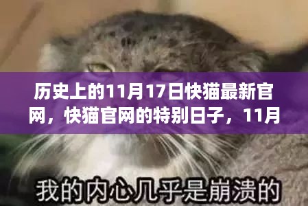 历史上的11月17日，快猫官网的特别日子与温馨记忆