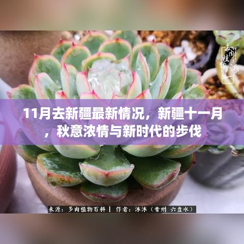 新疆十一月秋意浓情与新时代的步伐