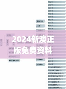 2024新澳正版免费资料,组织架构解答落实_PHM5.48.36媒体宣传版