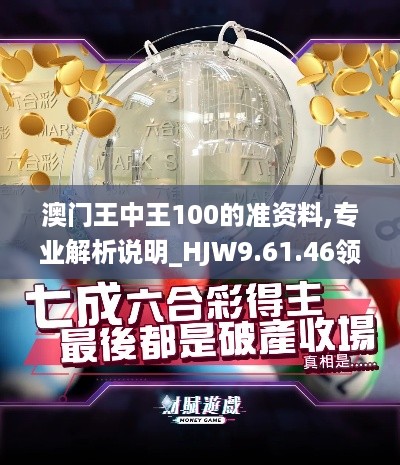 澳门王中王100的准资料,专业解析说明_HJW9.61.46领航版