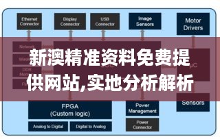 新澳精准资料免费提供网站,实地分析解析说明_DTU9.48.42官方版