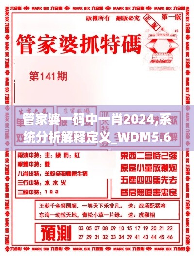 管家婆一码中一肖2024,系统分析解释定义_WDM5.62.27专门版