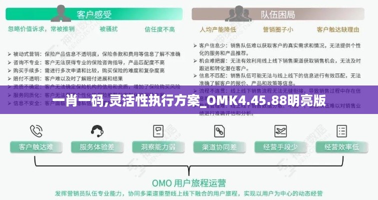 一肖一码,灵活性执行方案_OMK4.45.88明亮版