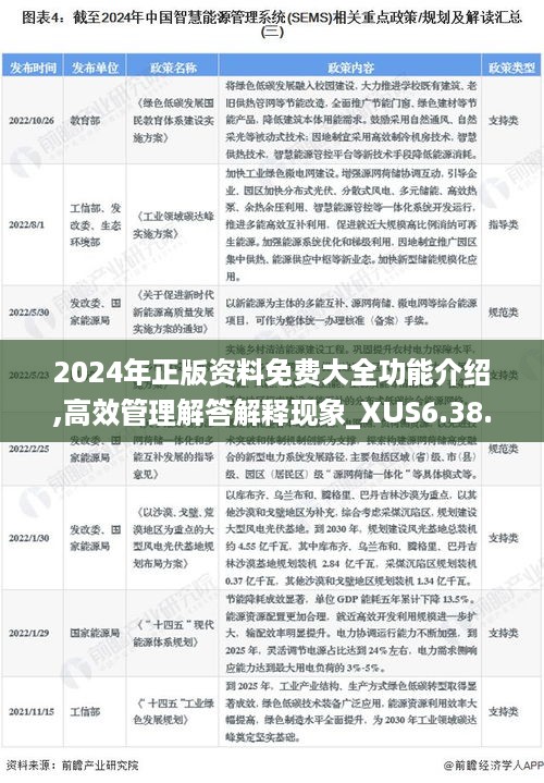 2024年正版资料免费大全功能介绍,高效管理解答解释现象_XUS6.38.73响应版