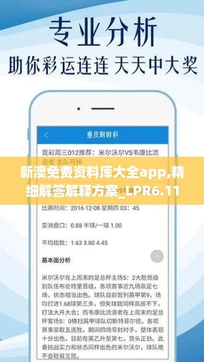 新澳免费资料库大全app,精细解答解释方案_LPR6.11.65公开版