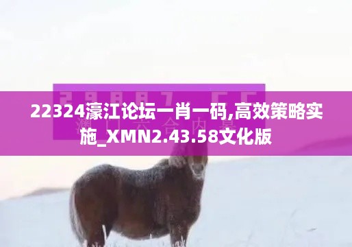 22324濠江论坛一肖一码,高效策略实施_XMN2.43.58文化版