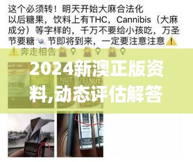 2024新澳正版资料,动态评估解答解释方法_THC6.19.54清晰版