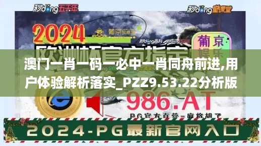 澳门一肖一码一必中一肖同舟前进,用户体验解析落实_PZZ9.53.22分析版