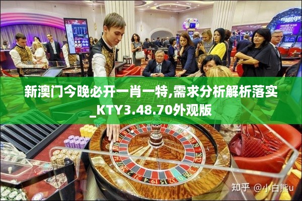 新澳门今晚必开一肖一特,需求分析解析落实_KTY3.48.70外观版