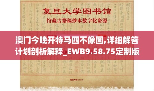 澳门今晚开特马四不像图,详细解答计划剖析解释_EWB9.58.75定制版