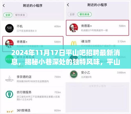 平山吧最新招聘信息揭秘，小巷深处的独特风味与隐藏之宝