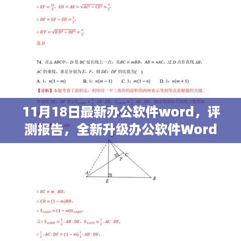 全新升级办公软件Word 20XX（11月最新版）深度评测与解析报告