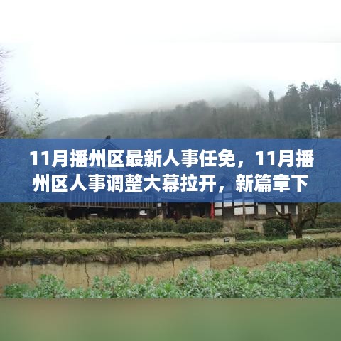 11月播州区人事调整启动，新气象引领区域发展新篇章