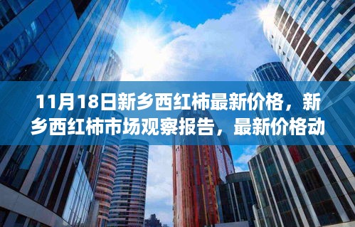 新乡西红柿市场最新价格动态及分析（11月18日更新）