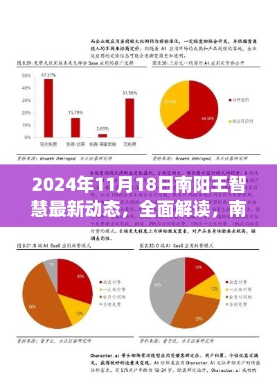 南阳王智慧最新动态深度解读，特性、体验、竞品对比及用户群体全面分析