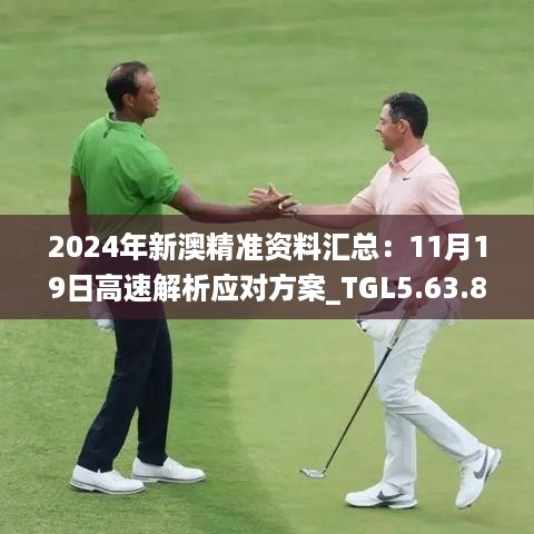 2024年新澳精准资料汇总：11月19日高速解析应对方案_TGL5.63.84传达版