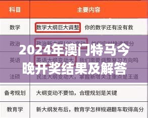 2024年澳门特马今晚开奖结果及解答解析，11月19日风范展示_MNK9.66.66触控版