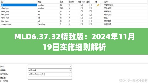 MLD6.37.32精致版：2024年11月19日实施细则解析