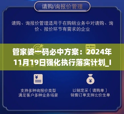 管家婆一码必中方案：2024年11月19日强化执行落实计划_IAB2.55.21开放版