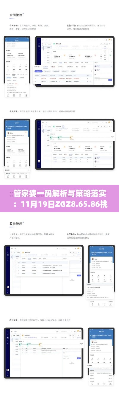管家婆一码解析与策略落实：11月19日ZGZ8.65.86挑战版